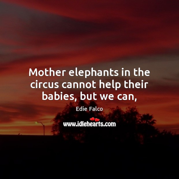 Mother elephants in the circus cannot help their babies, but we can, Edie Falco Picture Quote