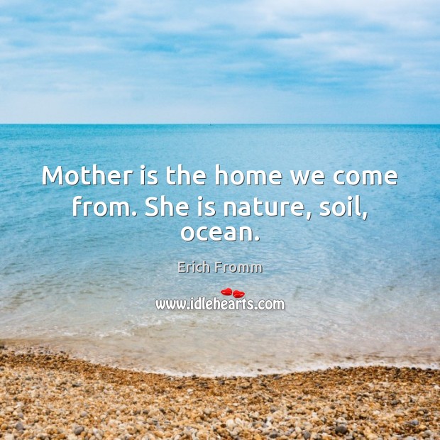 Mother is the home we come from. She is nature, soil, ocean. Image
