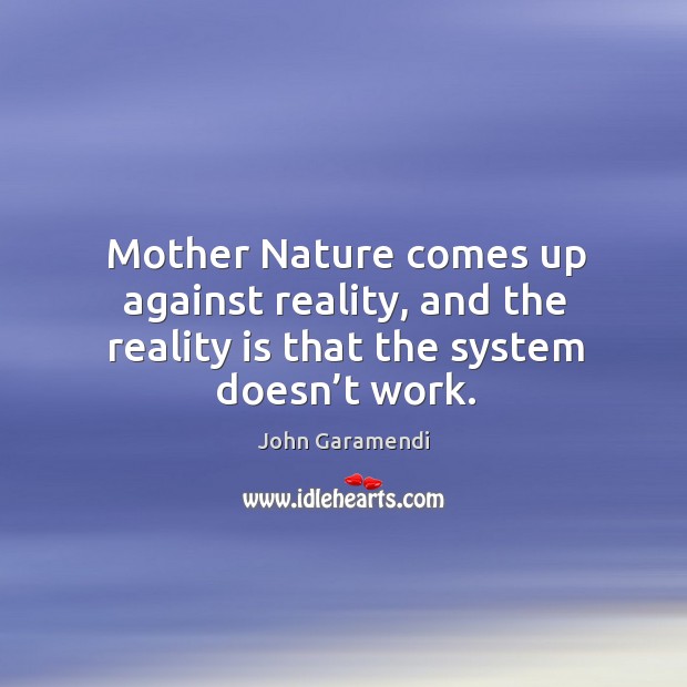 Mother nature comes up against reality, and the reality is that the system doesn’t work. John Garamendi Picture Quote