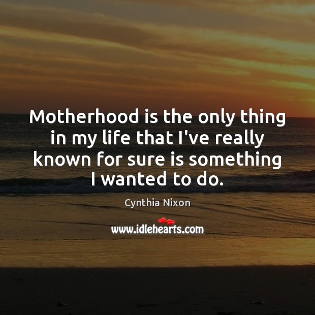 Motherhood is the only thing in my life that I’ve really known Cynthia Nixon Picture Quote
