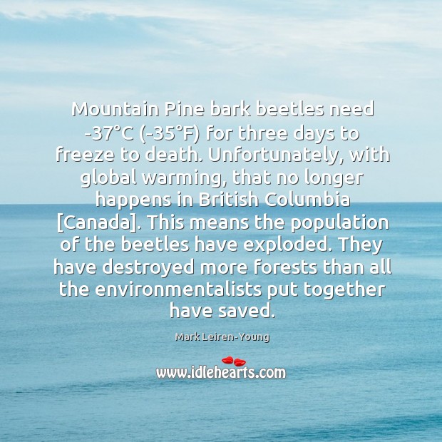 Mountain Pine bark beetles need -37°C (-35°F) for three days Mark Leiren-Young Picture Quote