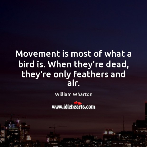 Movement is most of what a bird is. When they’re dead, they’re only feathers and air. William Wharton Picture Quote