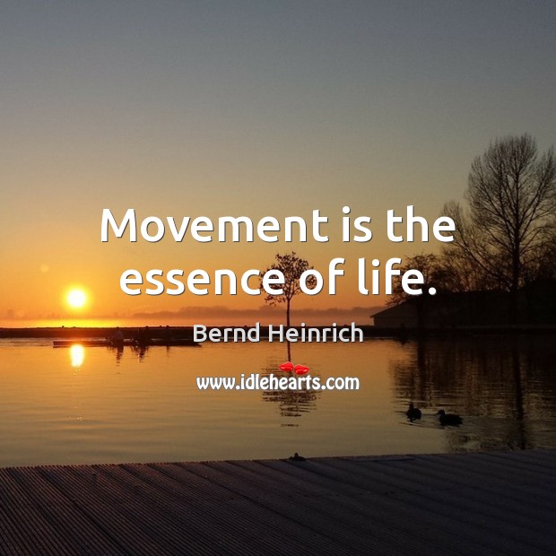 Movement is the essence of life. Bernd Heinrich Picture Quote