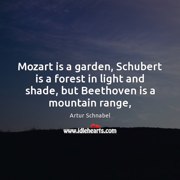 Mozart is a garden, Schubert is a forest in light and shade, Image