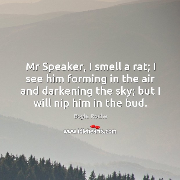 Mr speaker, I smell a rat; I see him forming in the air and darkening the sky; but I will nip him in the bud. Boyle Roche Picture Quote