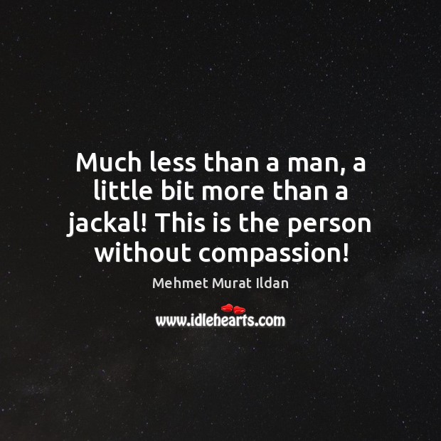 Much less than a man, a little bit more than a jackal! Mehmet Murat Ildan Picture Quote