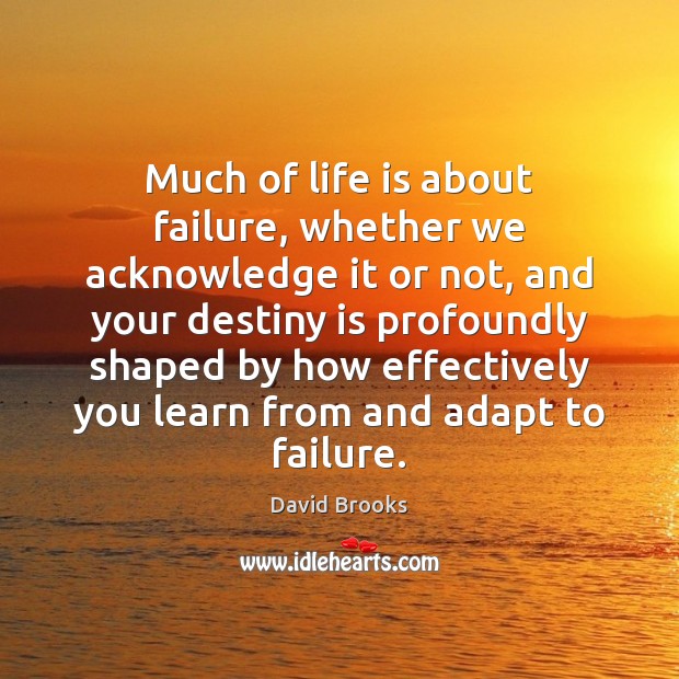 Much of life is about failure, whether we acknowledge it or not, David Brooks Picture Quote