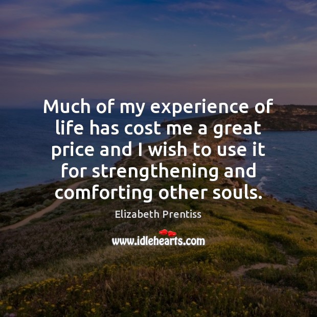 Much of my experience of life has cost me a great price Elizabeth Prentiss Picture Quote