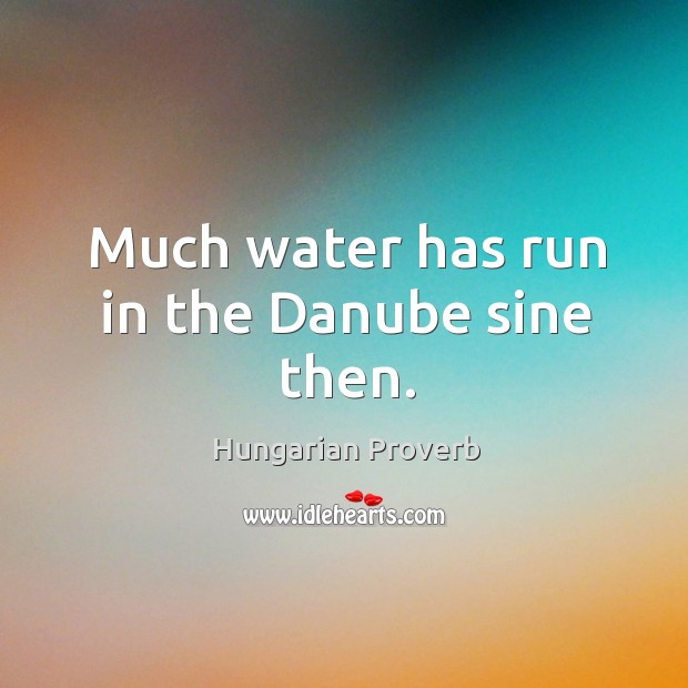 Much water has run in the danube sine then. Hungarian Proverbs Image