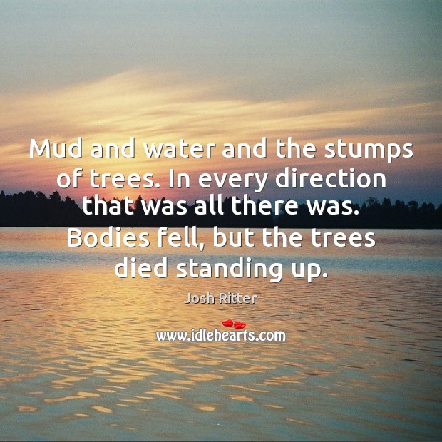 Mud and water and the stumps of trees. In every direction that Josh Ritter Picture Quote