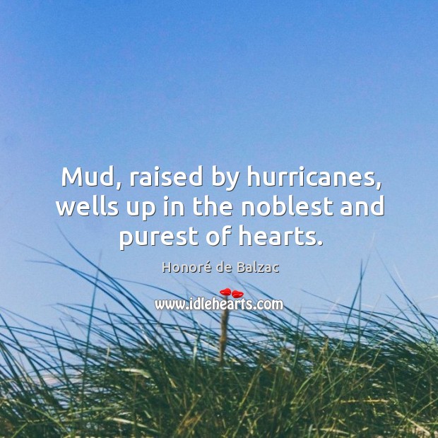 Mud, raised by hurricanes, wells up in the noblest and purest of hearts. Image