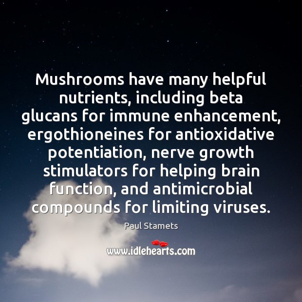 Mushrooms have many helpful nutrients, including beta glucans for immune enhancement, ergothioneines Paul Stamets Picture Quote