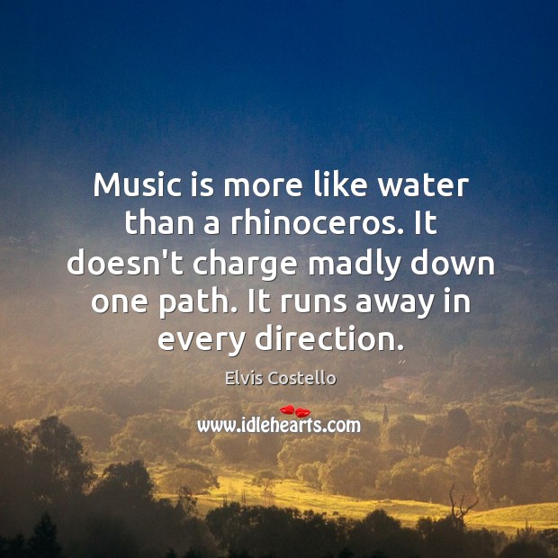 Music is more like water than a rhinoceros. It doesn’t charge madly Elvis Costello Picture Quote