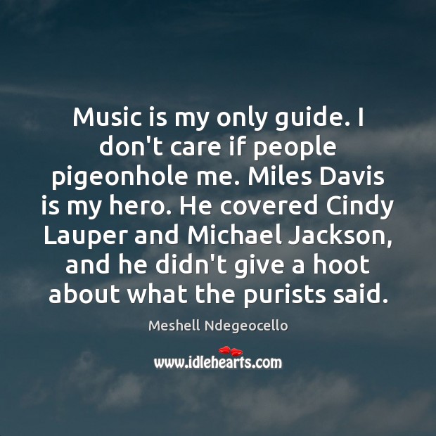 Music is my only guide. I don’t care if people pigeonhole me. Meshell Ndegeocello Picture Quote