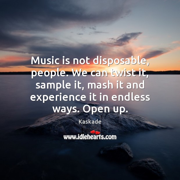 Music is not disposable, people. We can twist it, sample it, mash Kaskade Picture Quote