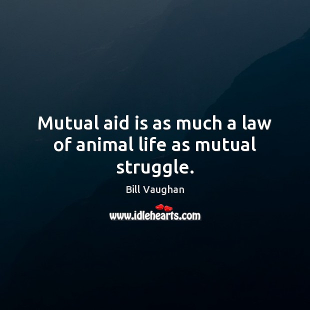 Mutual aid is as much a law of animal life as mutual struggle. Image
