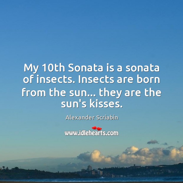 My 10th Sonata is a sonata of insects. Insects are born from Image