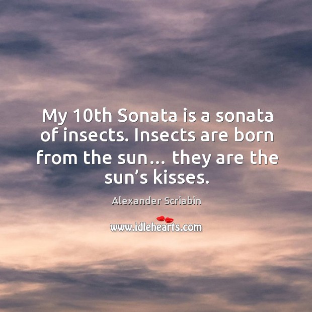 My 10th sonata is a sonata of insects. Insects are born from the sun… they are the sun’s kisses. Image
