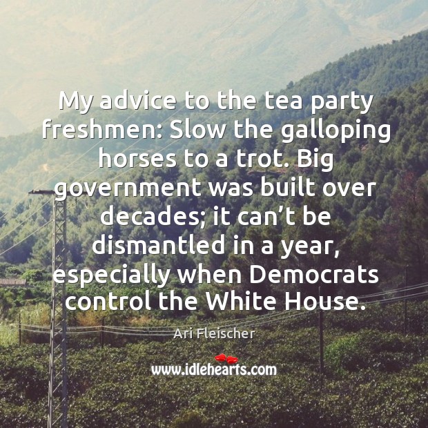 My advice to the tea party freshmen: slow the galloping horses to a trot. 