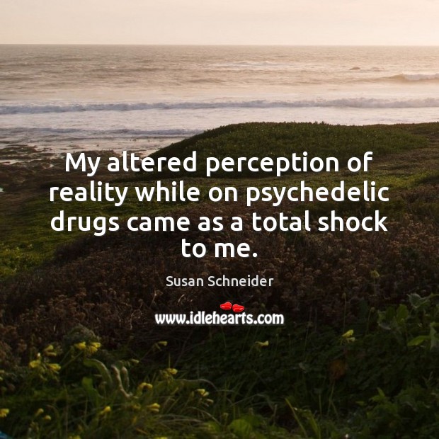 My altered perception of reality while on psychedelic drugs came as a total shock to me. Susan Schneider Picture Quote