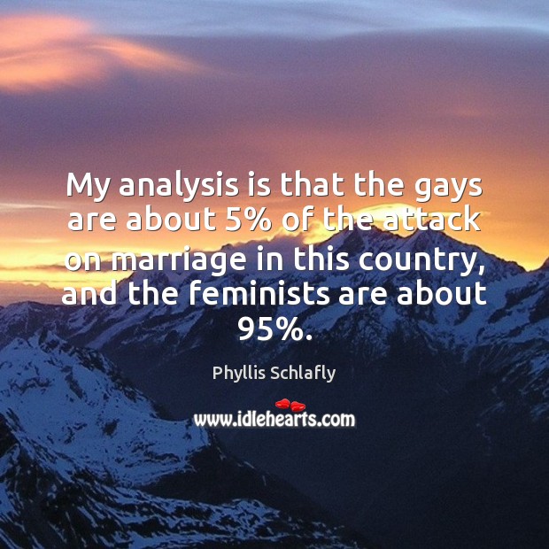 My analysis is that the gays are about 5% of the attack on Image