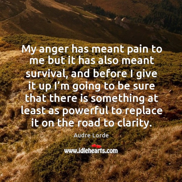 My anger has meant pain to me but it has also meant survival, and before I give it up I’m going to be sure Image
