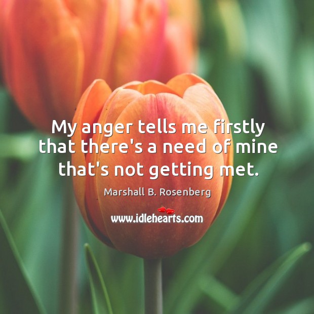My anger tells me firstly that there’s a need of mine that’s not getting met. Marshall B. Rosenberg Picture Quote