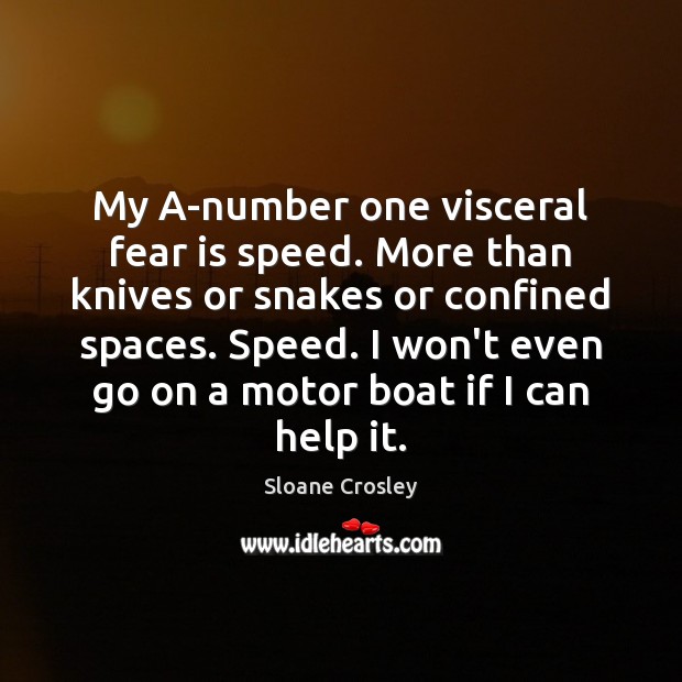 My A-number one visceral fear is speed. More than knives or snakes Sloane Crosley Picture Quote