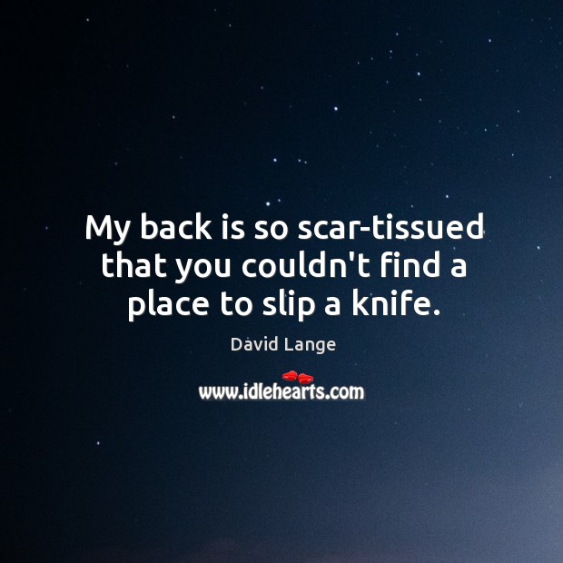 My back is so scar-tissued that you couldn’t find a place to slip a knife. David Lange Picture Quote
