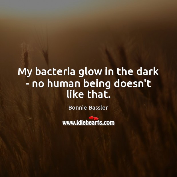 My bacteria glow in the dark – no human being doesn’t like that. Image