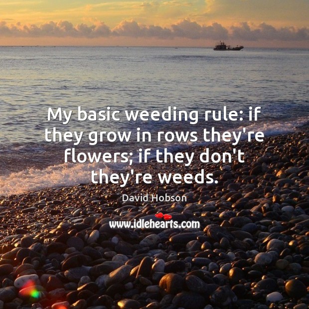 My basic weeding rule: if they grow in rows they’re flowers; if they don’t they’re weeds. David Hobson Picture Quote