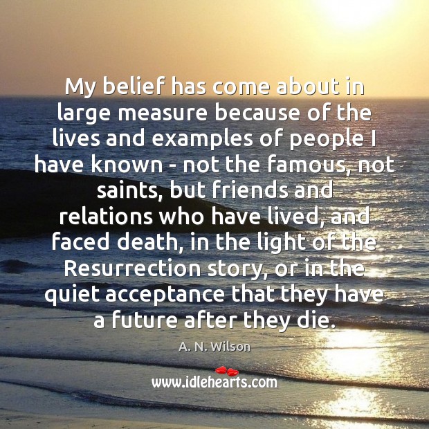 My belief has come about in large measure because of the lives A. N. Wilson Picture Quote