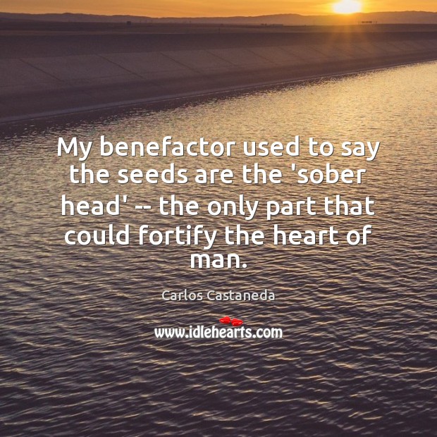My benefactor used to say the seeds are the ‘sober head’ — Carlos Castaneda Picture Quote