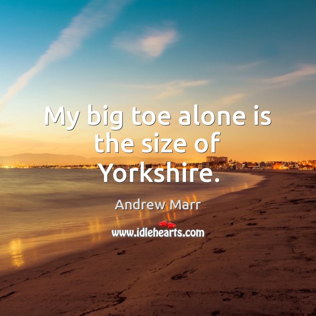 My big toe alone is the size of Yorkshire. Andrew Marr Picture Quote