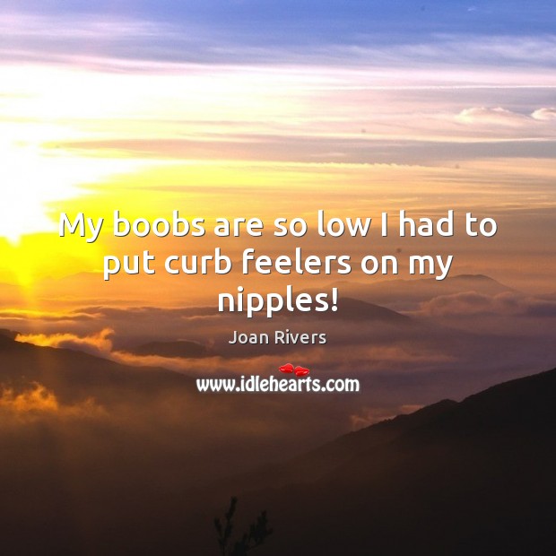 My boobs are so low I had to put curb feelers on my nipples! Joan Rivers Picture Quote