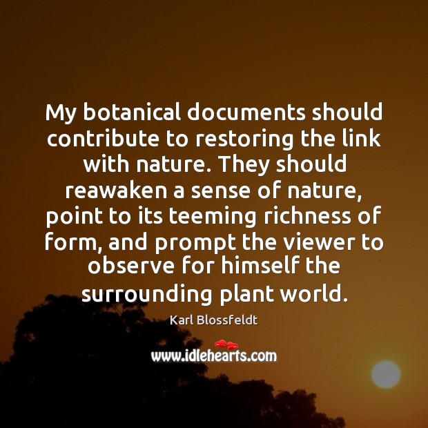 My botanical documents should contribute to restoring the link with nature. They 