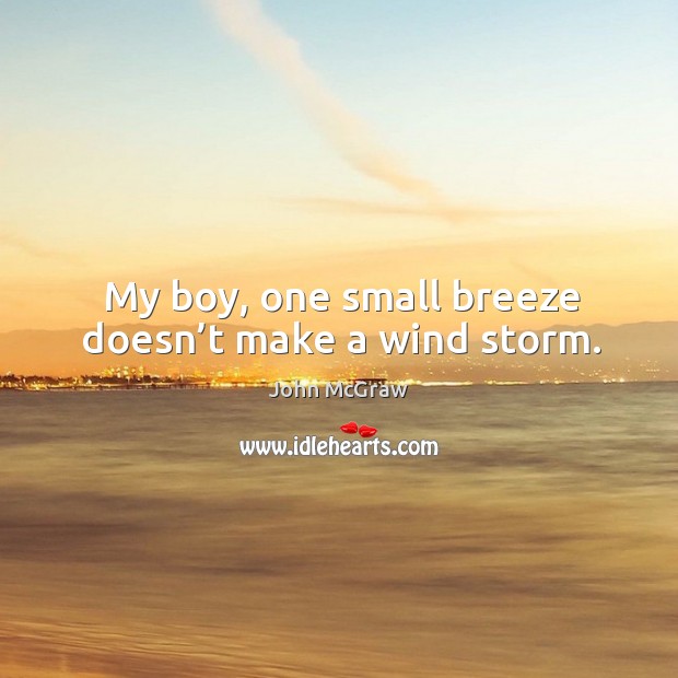 My boy, one small breeze doesn’t make a wind storm. John McGraw Picture Quote
