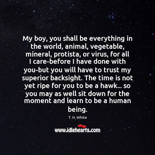 My boy, you shall be everything in the world, animal, vegetable, mineral, T. H. White Picture Quote