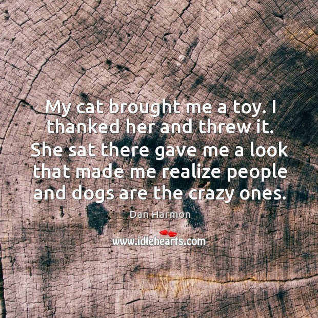 My cat brought me a toy. I thanked her and threw it. Dan Harmon Picture Quote