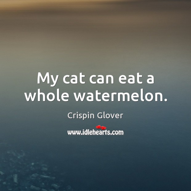 My cat can eat a whole watermelon. Crispin Glover Picture Quote