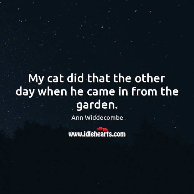 My cat did that the other day when he came in from the garden. Ann Widdecombe Picture Quote
