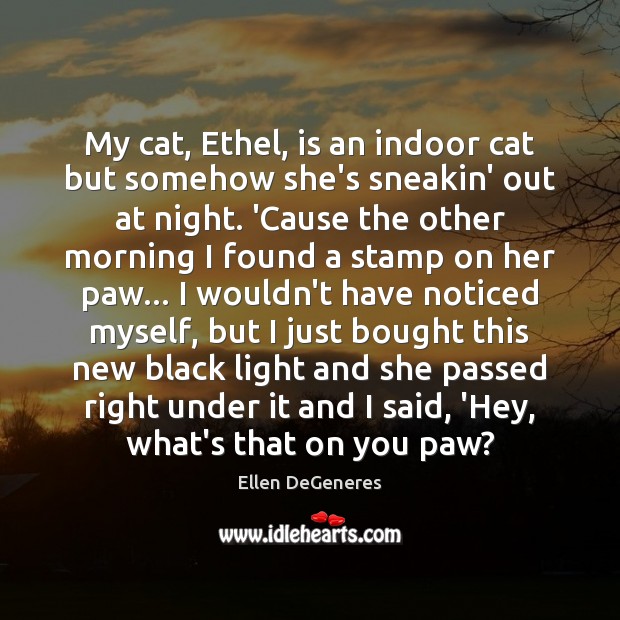 My cat, Ethel, is an indoor cat but somehow she’s sneakin’ out Ellen DeGeneres Picture Quote