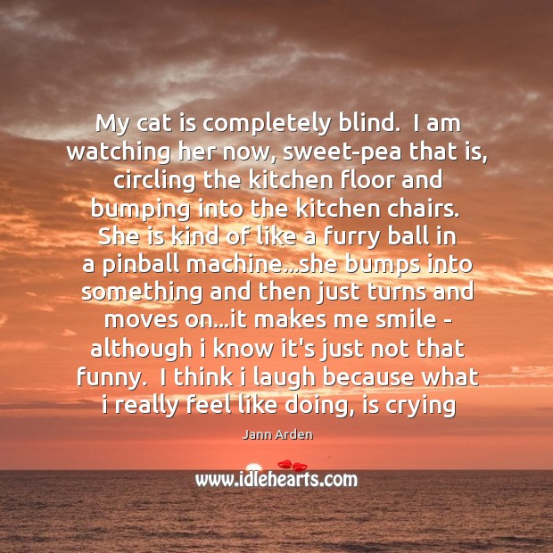 My cat is completely blind.  I am watching her now, sweet-pea that Jann Arden Picture Quote