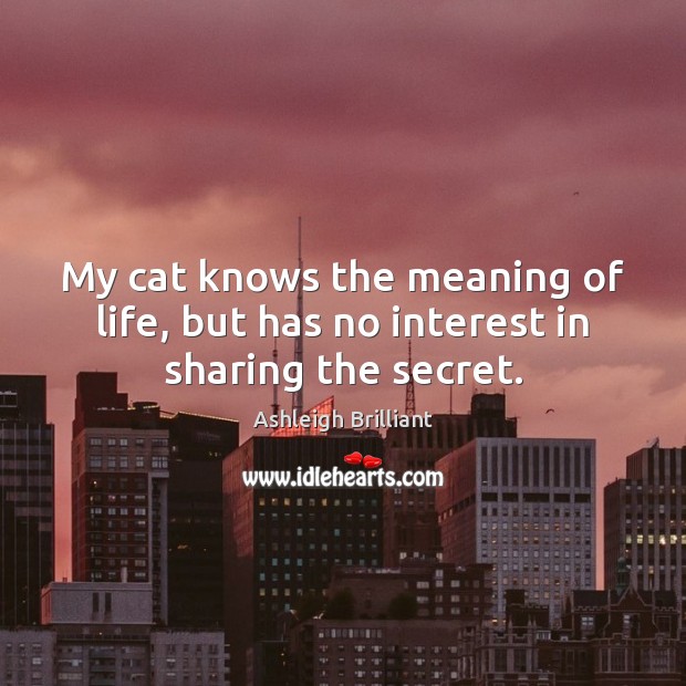 My cat knows the meaning of life, but has no interest in sharing the secret. Ashleigh Brilliant Picture Quote