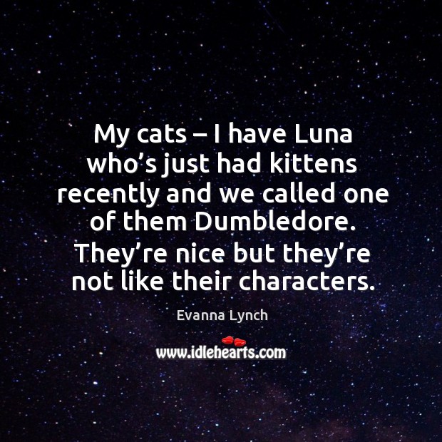 My cats – I have luna who’s just had kittens recently and we called one of them dumbledore. Evanna Lynch Picture Quote