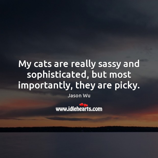 My cats are really sassy and sophisticated, but most importantly, they are picky. Jason Wu Picture Quote