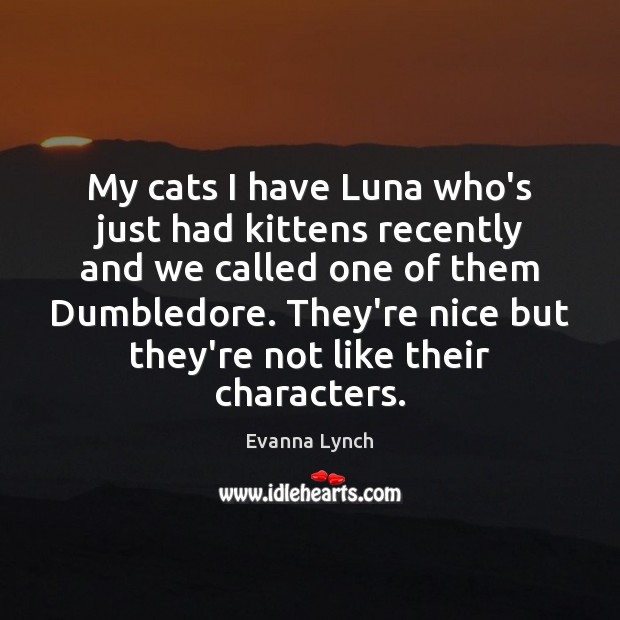My cats I have Luna who’s just had kittens recently and we Evanna Lynch Picture Quote
