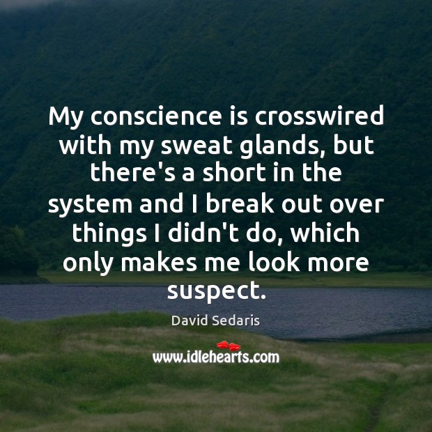 My conscience is crosswired with my sweat glands, but there’s a short David Sedaris Picture Quote