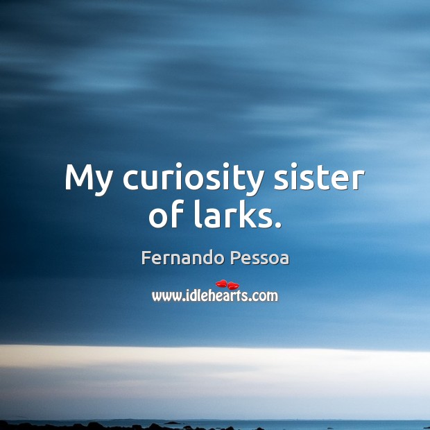 My curiosity sister of larks. Fernando Pessoa Picture Quote