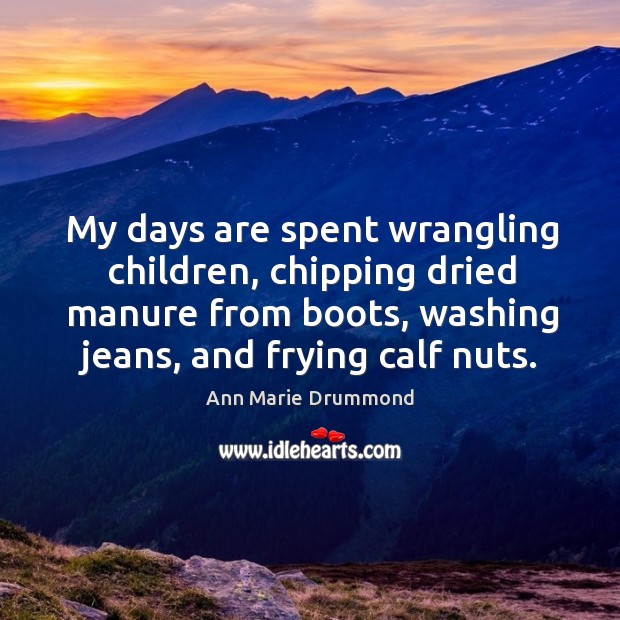 My days are spent wrangling children, chipping dried manure from boots, washing jeans, and frying calf nuts. Ann Marie Drummond Picture Quote